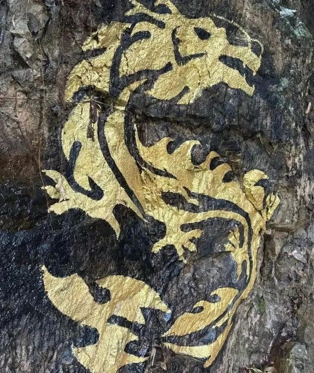 跟着赛事游鹤山！动起来！用运动方式打开鹤山～