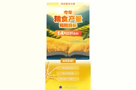 两会数说中国|首提1.4万亿斤粮食产量新目标，有何依据、如何实现？图片