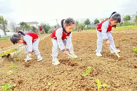 曲靖麒麟：萌娃走进田间地头 乐享社会实践图片