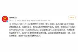 海南航空一航班遭遇鸟击！官方通报→图片