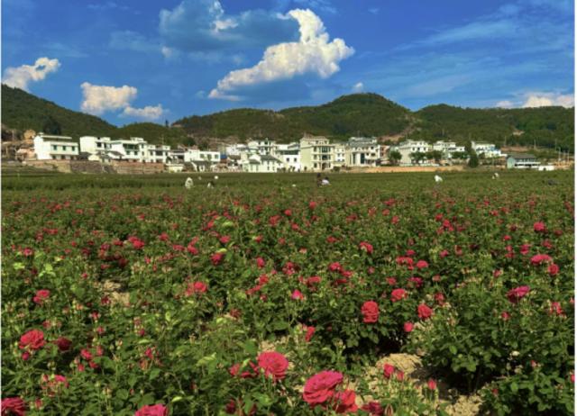 我在云南等你丨曲靖：中秋国庆来一场治愈之旅——观美景、寻美味、觅诗意