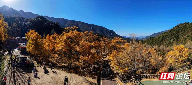 【每日一图@湖南】在永州桐子坳，我找到了最动人的浪漫