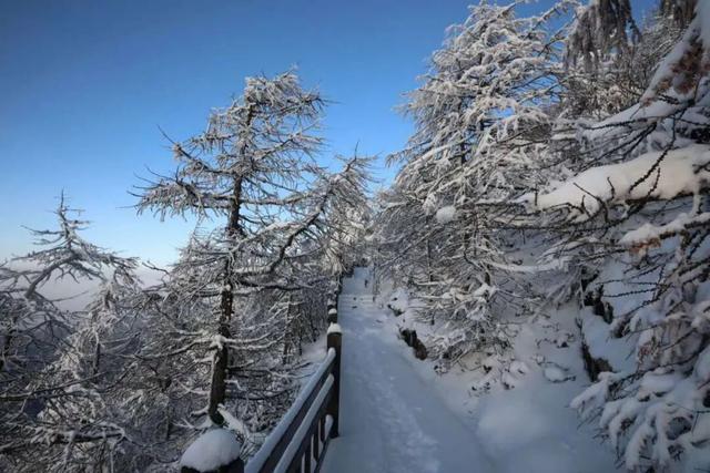 太白山冬季宠粉福利已上线！这波羊毛必须薅