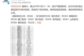 武汉天河机场有32架次航班延误，21架次取消图片