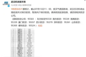 武汉天河机场有32架次航班延误，21架次取消图片