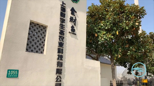 画中寻乐、滨海亲水，跟着推荐线路玩转金山