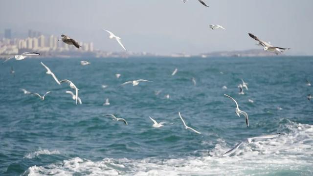 全运“五金王”张展硕，邀您冬游青岛~