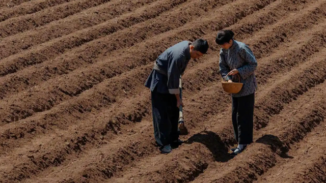 《生万物》：人与土地的缱绻史诗