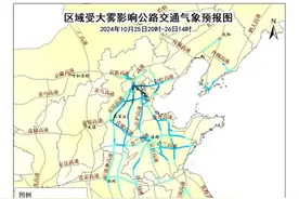 大雾黄色预警！多条高速受影响，涉京津冀辽鲁五省（市）图片