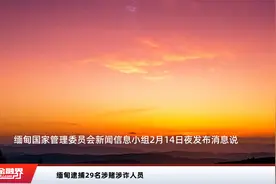 缅甸逮捕29名涉赌涉诈人员视频封面
