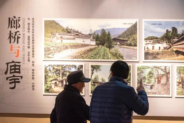 这座小城靠“香菇”火出圈！浙西南秘境，美食美景藏不住了
