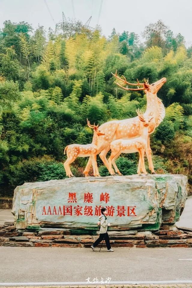 周末去哪玩丨听说“长株谈”了，去逛逛？