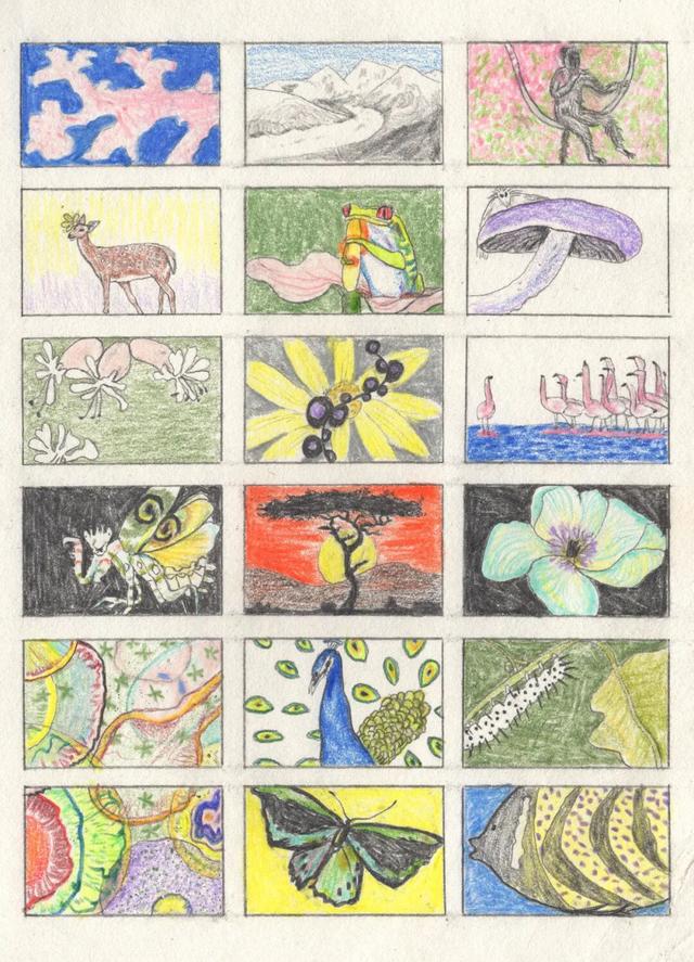 为什么现在不下小时候那样的大雪了