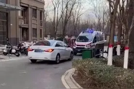 “为生命让行”的常识还要重申多少遍图片