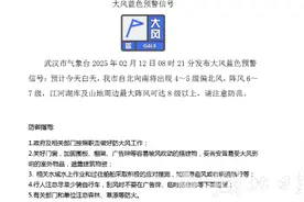 武汉发布大风蓝色预警，阴雨天气持续到15日图片