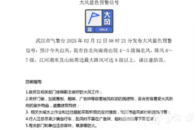武汉发布大风蓝色预警，阴雨天气持续到15日图片