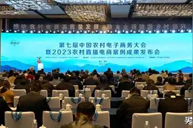 清丰县在2023农村直播电商案例赛事中获得佳绩图片