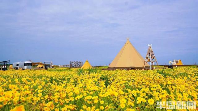 7大主题线路、N场沉浸式活动！青岛西海岸新区邀全国游客共赴山海之约
