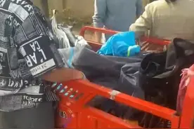 南阳迷笛音乐节的AB面：滞留的失主和失落的乌托邦图片