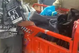 南阳迷笛音乐节的AB面：滞留的失主和失落的乌托邦图片
