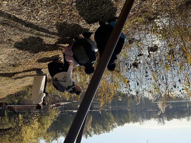 小雪宜出游，颐和园里游人赏初冬美景