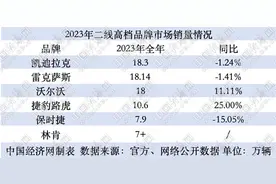 转型阵痛期夹缝求生 二线高档品牌喜忧参半图片