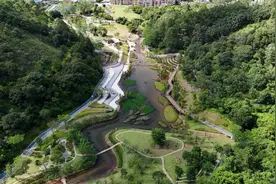 深圳坪山头陂水库的生态蝶变图片