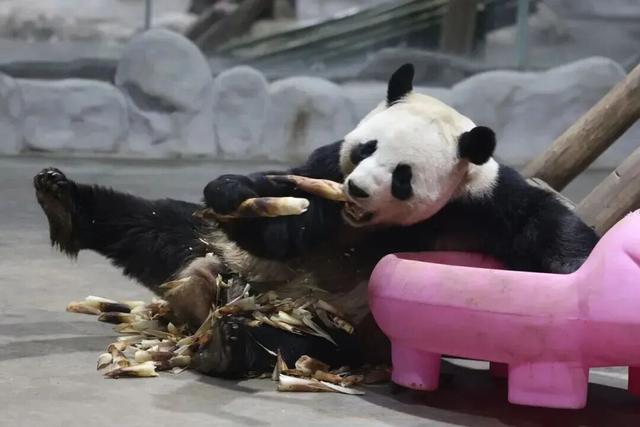 看！洛阳周边超适合过冬的地方被我发现了！