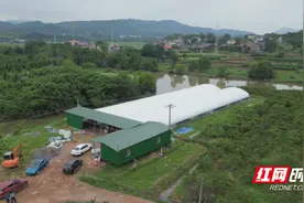 祁阳 ：鱼儿“上岸”换新家 “一只循环桶”产鱼超4000尾图片