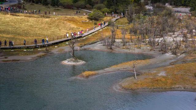 赏秋正当时！在四姑娘山，邂逅“触得到”的川西诗行