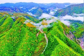 好山好水，有“颜”更有“值”——宁夏探索生态脆弱地区集体林权制度改革路径图片