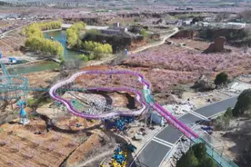 肥城仪阳街道：桃源深处党旗红产业兴图片