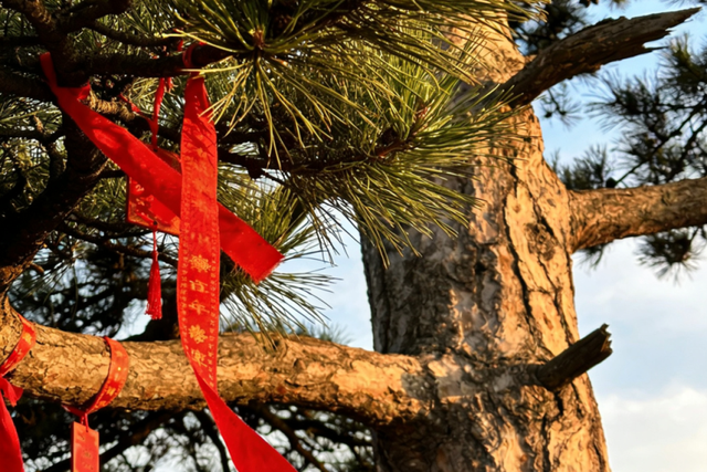 今日腊八｜北京“特色活动”来了！