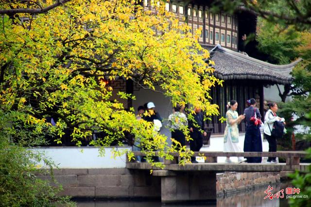 初冬拙政园色彩斑斓引客游