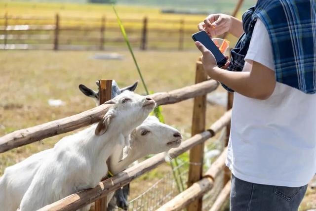 11月的清城，有大动作→