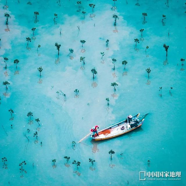 绝了，就在宁德！《中国国家地理》盛赞这处海上田园，“真香”啊~