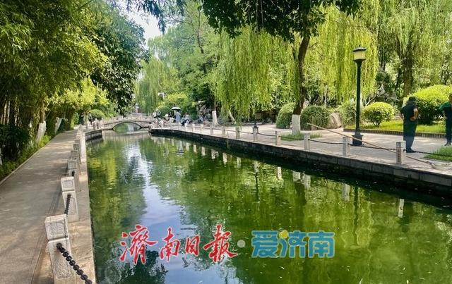 泉边夏日 戏水纳凉好景致 | 一年四季 泉在济南