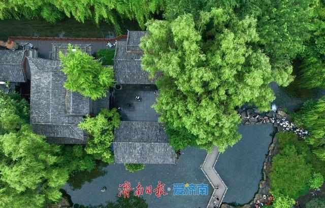 一年四季 泉在济南丨趵突泉雨后撒欢 漫步其中感受别样浪漫