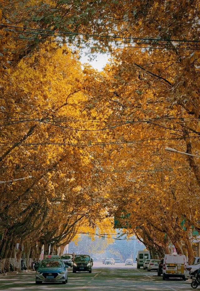 无锡有条石门路