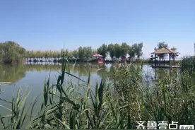 读城菏泽|草亭渔晚烟波上小筏尽头是吾乡图片