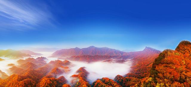 四川光雾山国际红叶节邀老广，10月去看“亚洲最长红地毯”