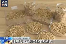 盘点：2024年全球窃密泄密事件图片