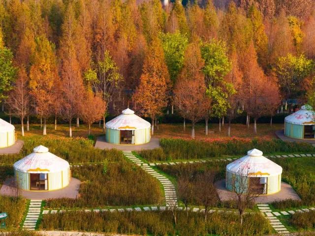 一园一画卷！藏尽老舍笔下的初冬浪漫