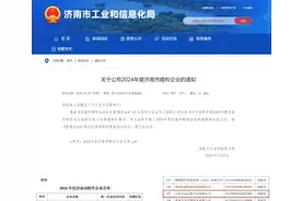 2024年度济南市瞪羚企业发布 山东大众信息产业公司入选图片