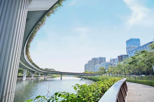 深圳知名景区紧急通知！