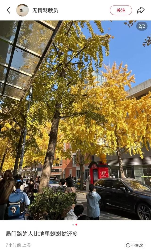 "全上海人都来了吧…"今天这条路什么情况？大堵车！还有30万人抢破头↗