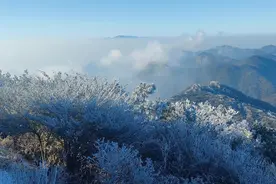 雪花飘飘 今年福建第一场雪来了图片