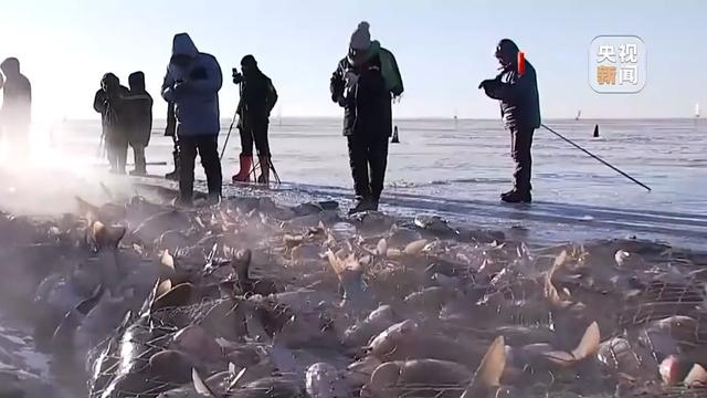 多个南方城市上榜热门目的地 今年冰雪游还有这些新玩法