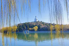 蓝天碧空如洗，京城公园里春花竞相绽放图片