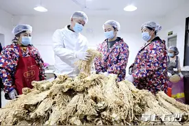 望城小伙回乡创业种萝卜 坛香剁椒萝卜条销往全国50多个城市图片
